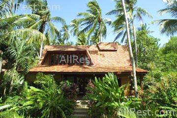 Coconut Village 8